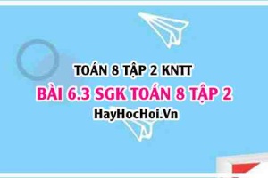 Bài 6.3 SGK Toán 8 Tập 2 Kết nối tri thức